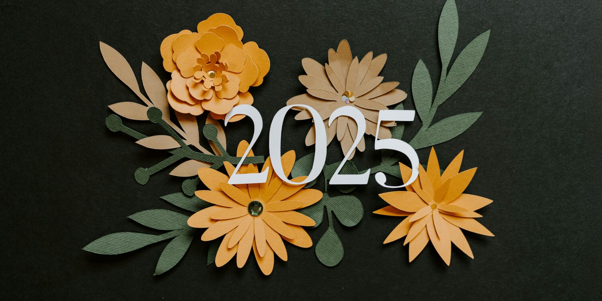 photo-1730829807497-9c5b8c9c41c4